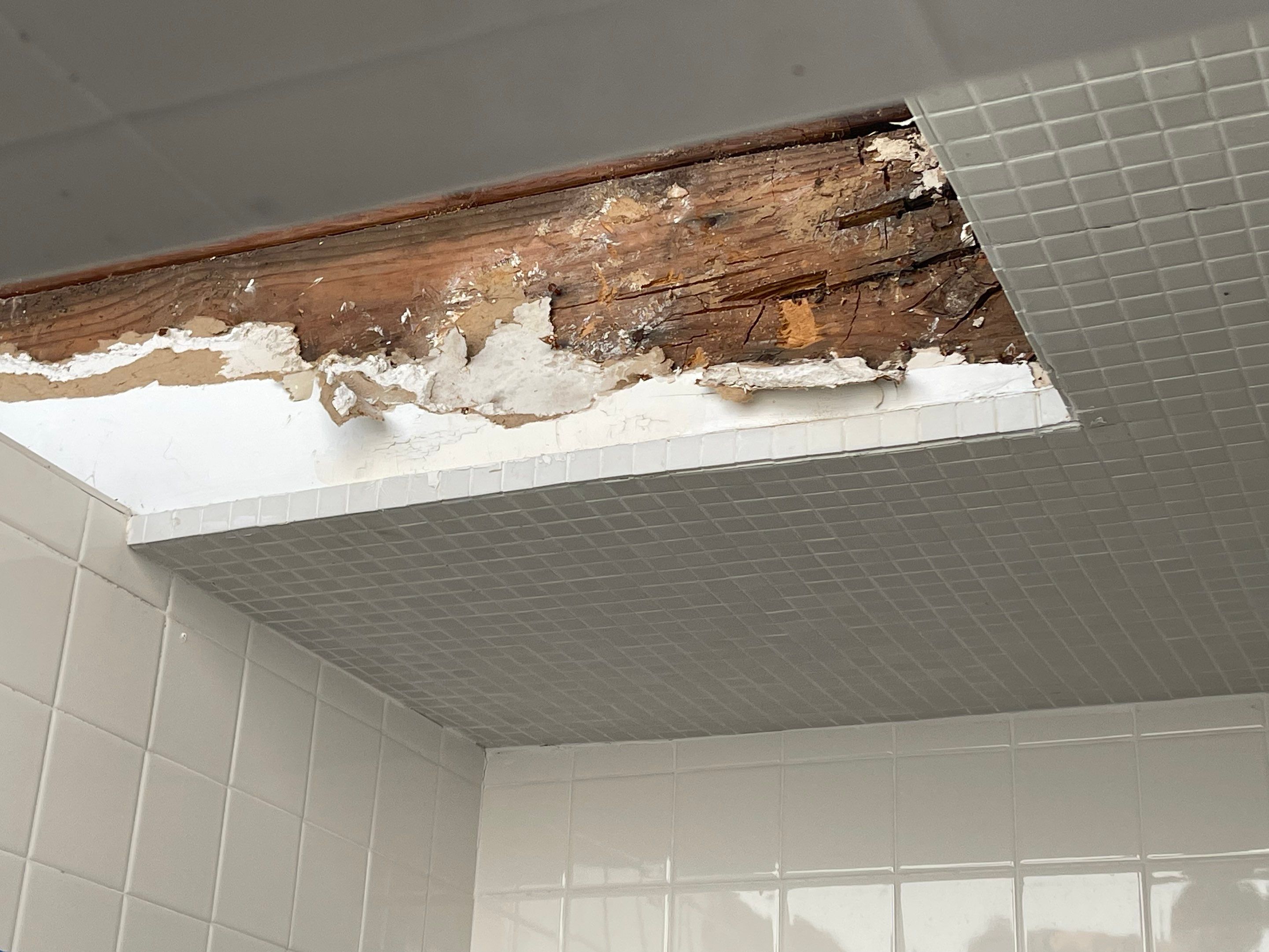 Structural Wood Rot Repair and Custom Skylight Installation in Memphis by Revival Roofing Services