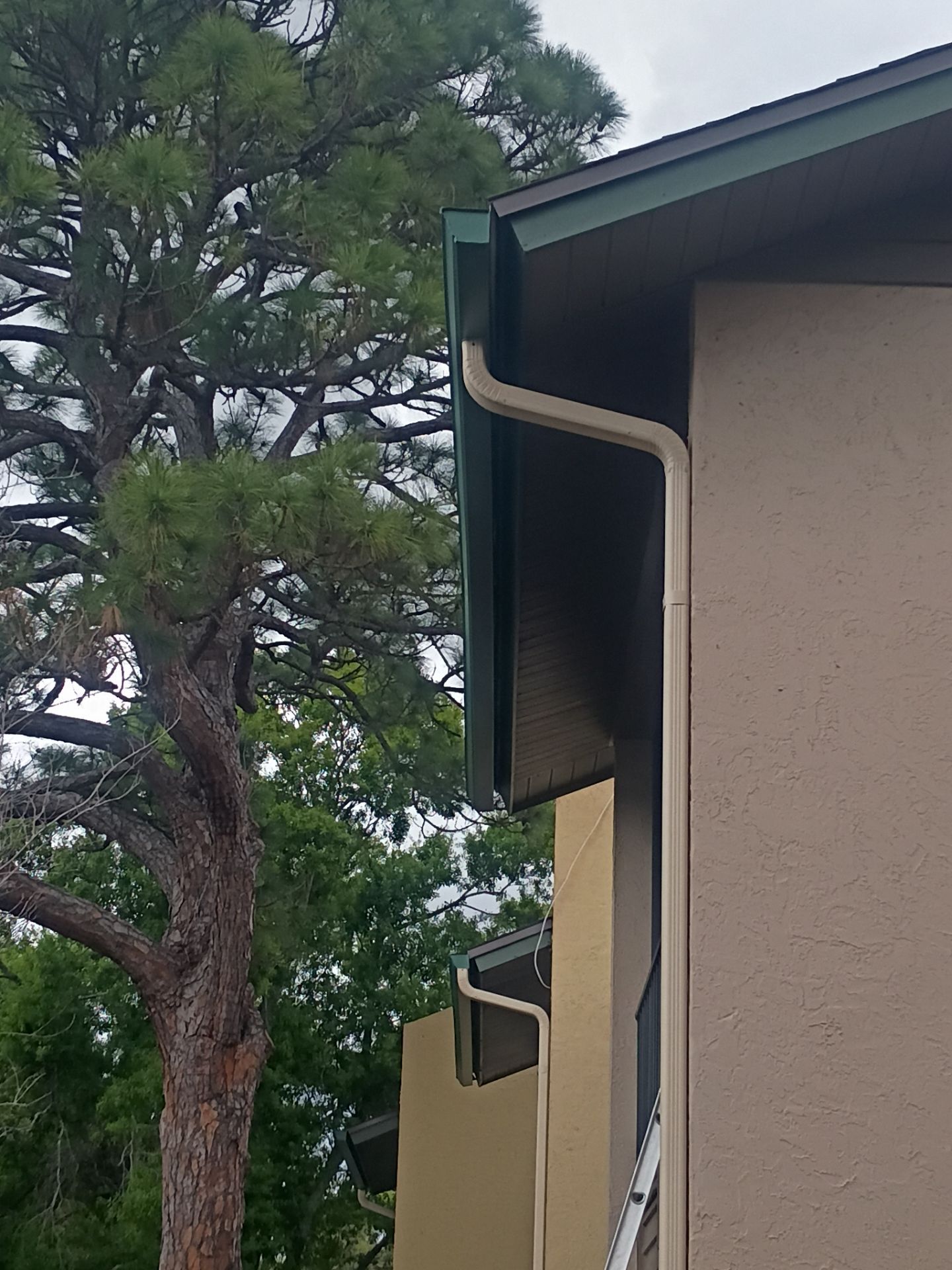 Leaf Guard using Gutter Guards & 3X4Downspoutsts in Sarasota FL by Gutter Professors
