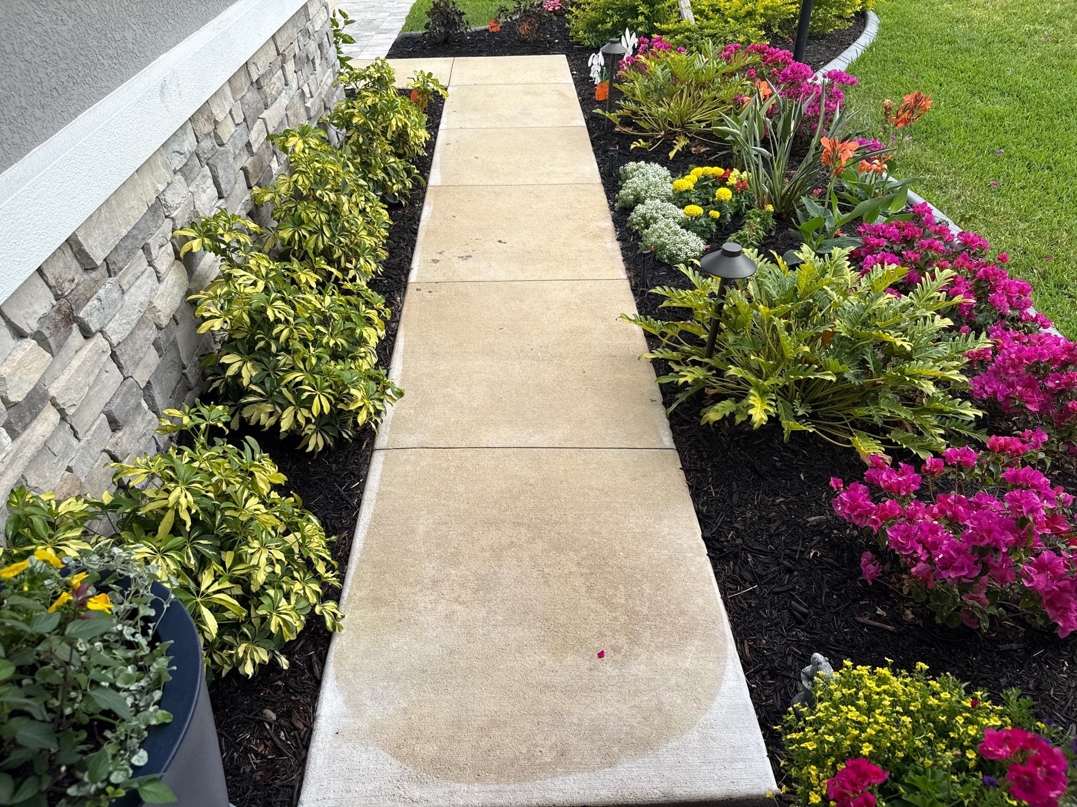 Rust Stain Removal from Concrete Driveway and Pavers in Park East at Azario | Lakewood Ranch, FL by Sunshine AquaWash