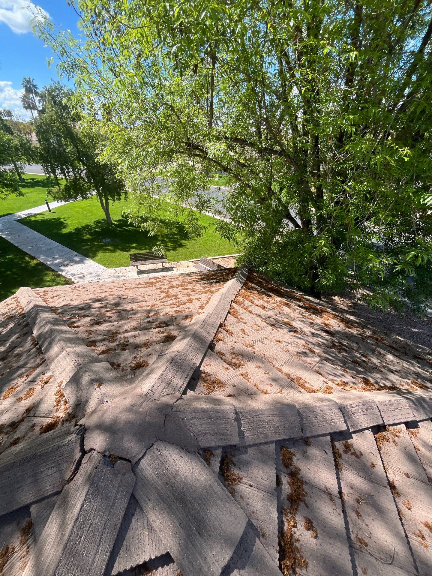 Sandstone Beige Concrete Tile by Reimagine Roofing