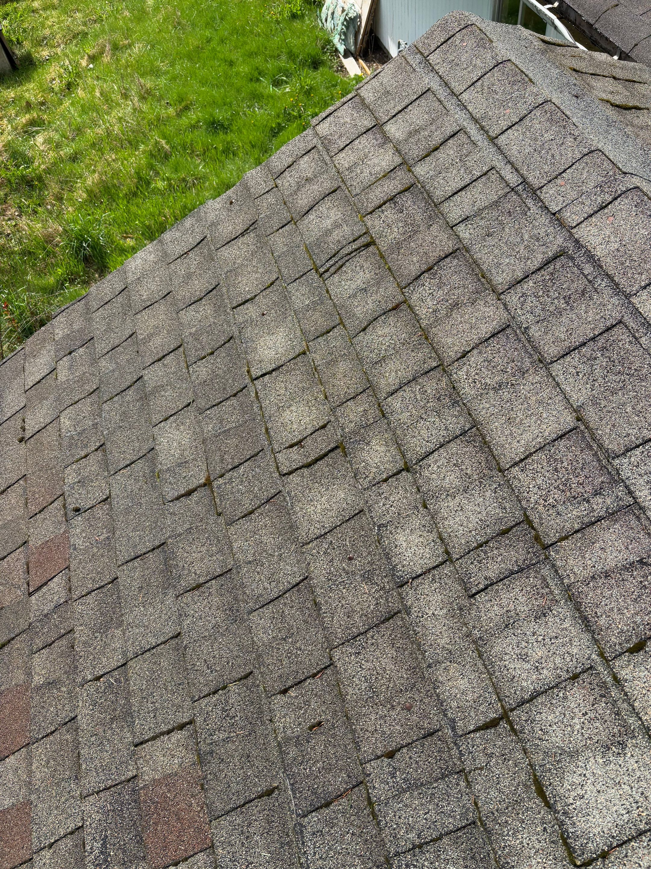 GAF Timberline HDZ, Shakewood by Proline Roofing & Restoration LLC
