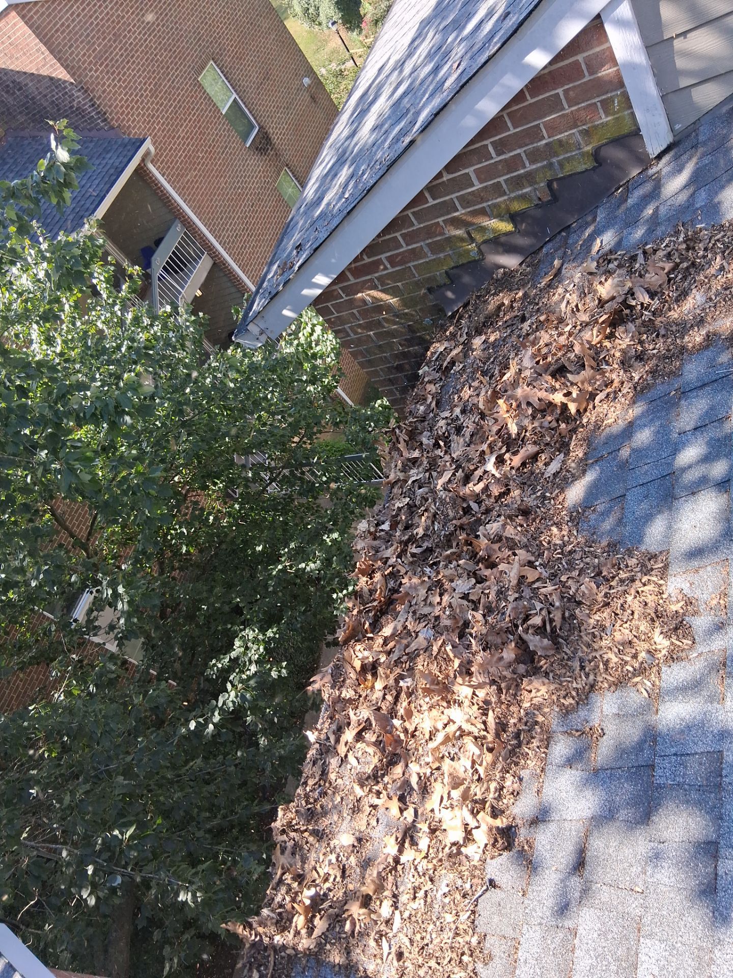 Commercial gutter cleaning Annapolis, MD before photo with filled gutters