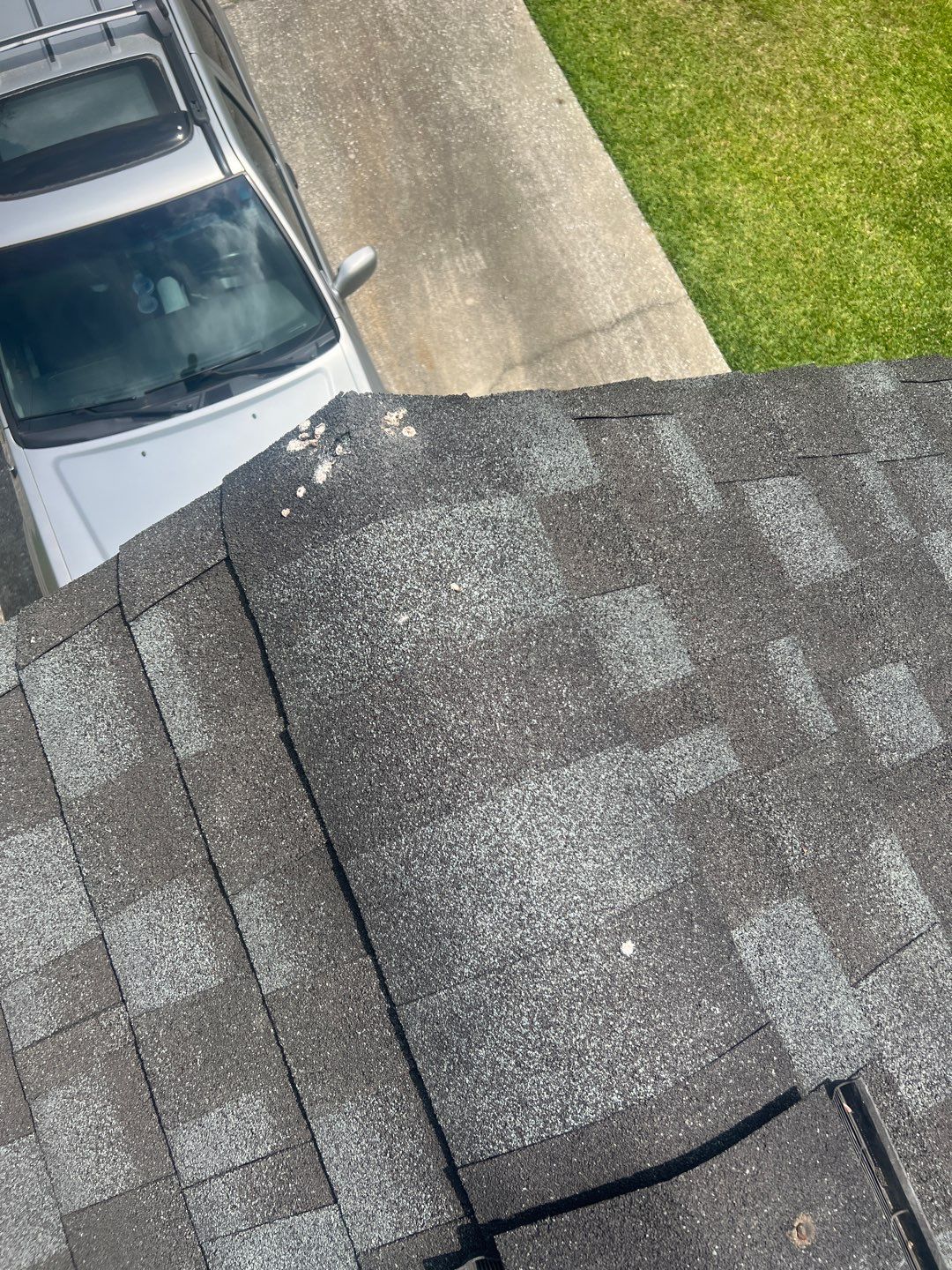 843roof by 843 Roof, LLC