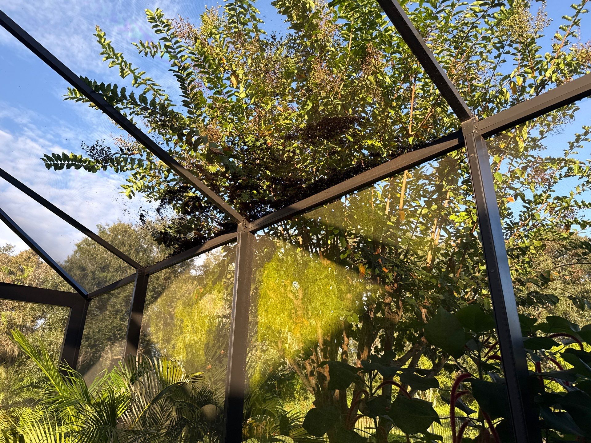 Pool Cage Cleaning | Rye Wilderness, Bradenton FL by Sunshine AquaWash
