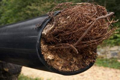 Targeted Sewer Repair After Repeated Backups