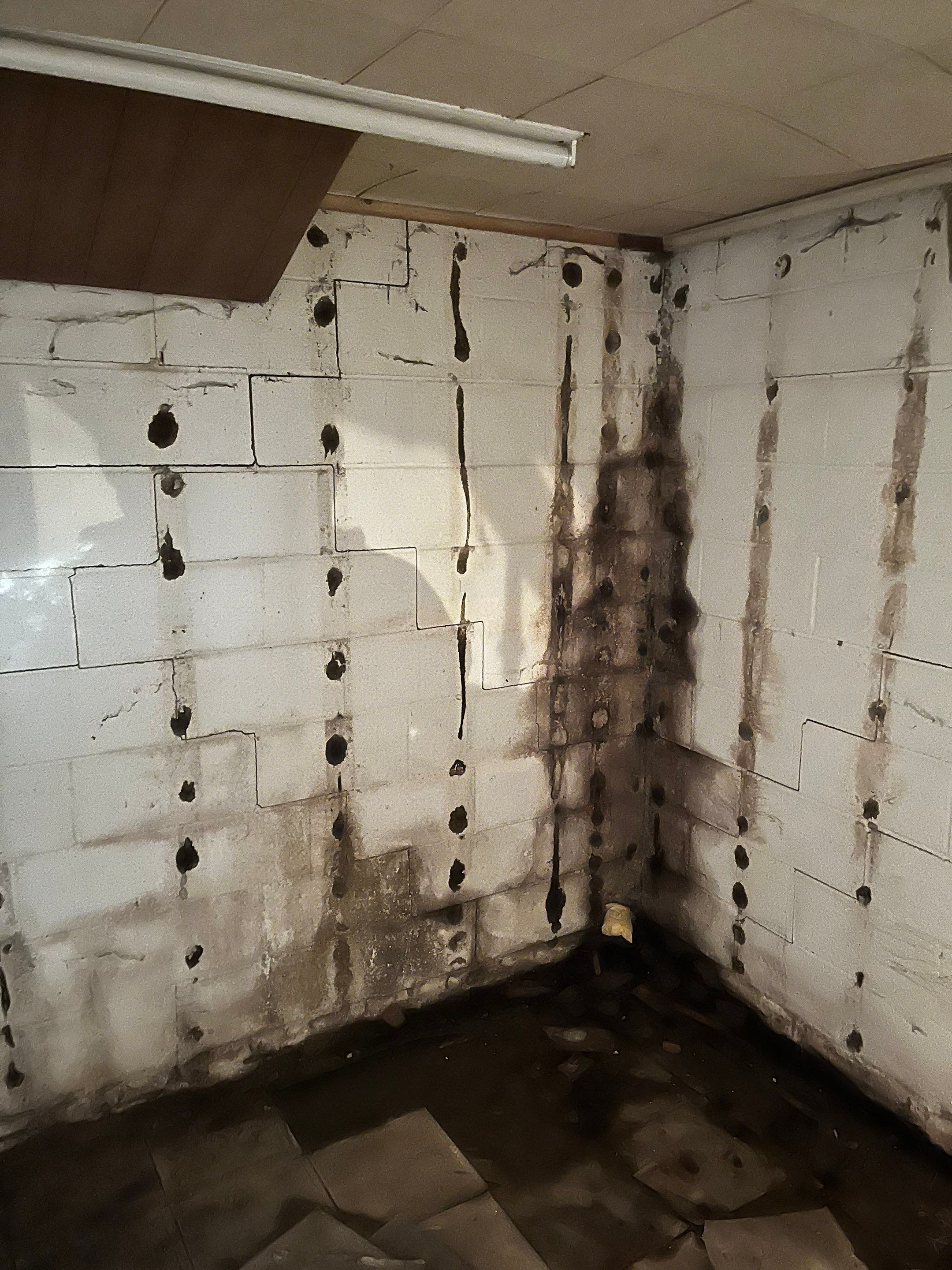 Waterproofing/Wall Bracing by ACE Waterproofing & Basement Solutions