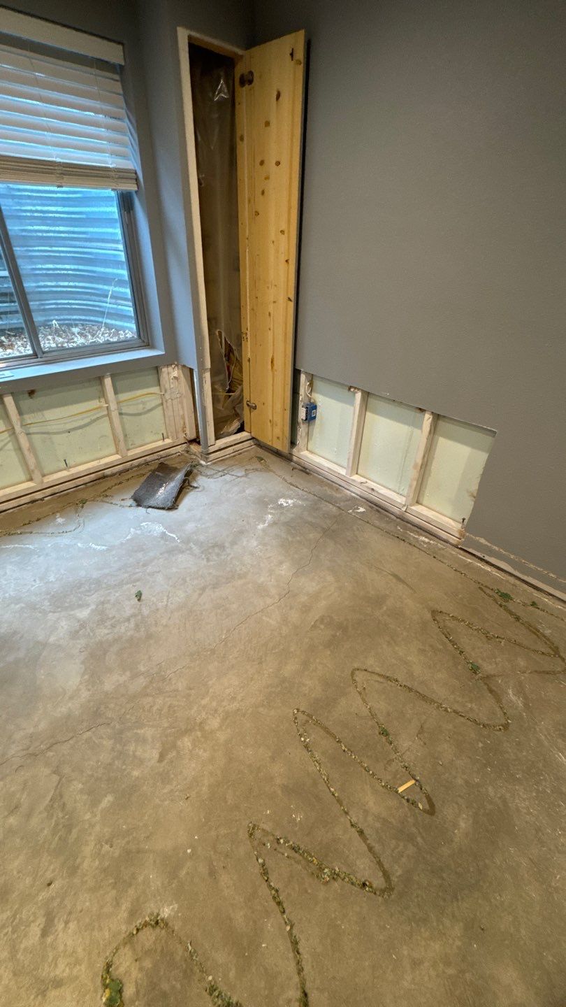 Mold Project in Thornton by Accountable Home Services