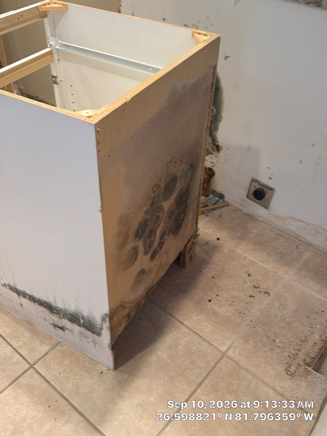 Fort Myers Water Damage Restoration and Professional Mold Remediation by Microscope