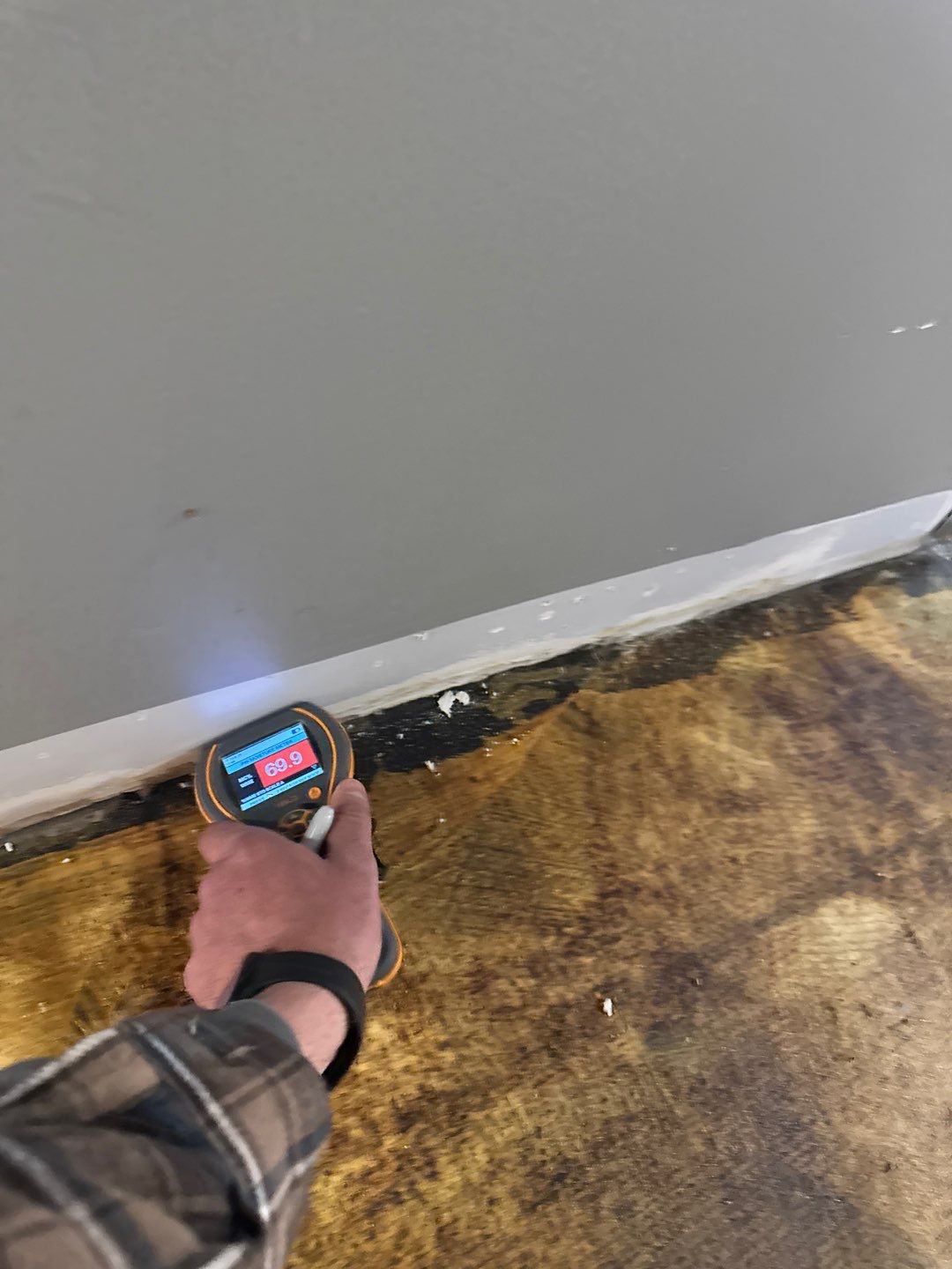 Project in Royal Oak by EzDry Water Mitigation & Property Restoration