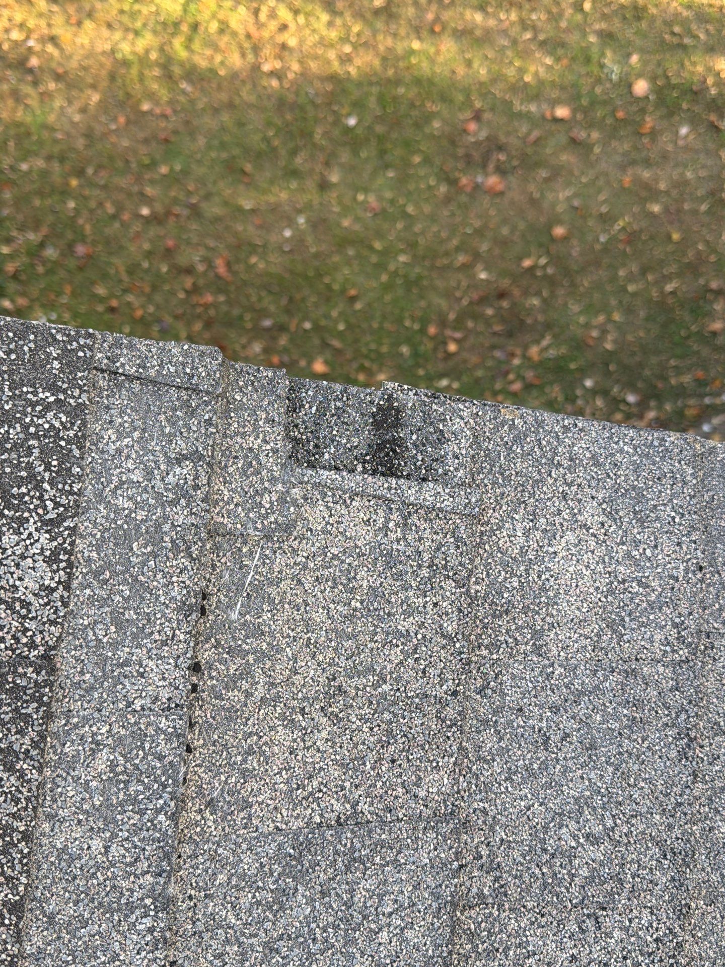 Susan Collins by United Contracting and Roofing