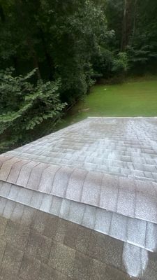 Project in Chester