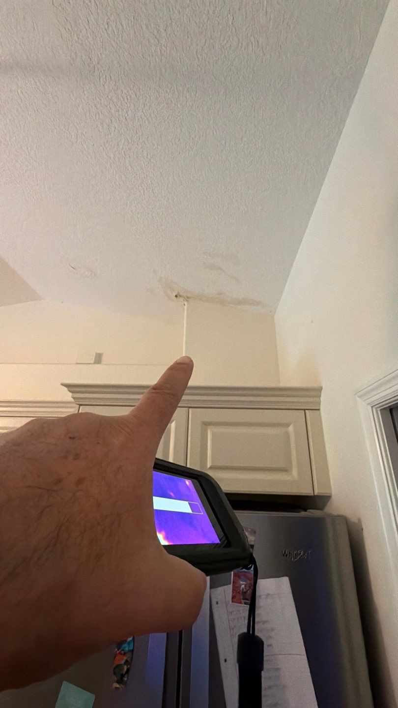 Mold Damage Inspection And Removal In North Port, FL  by Ampm Restoration Services 