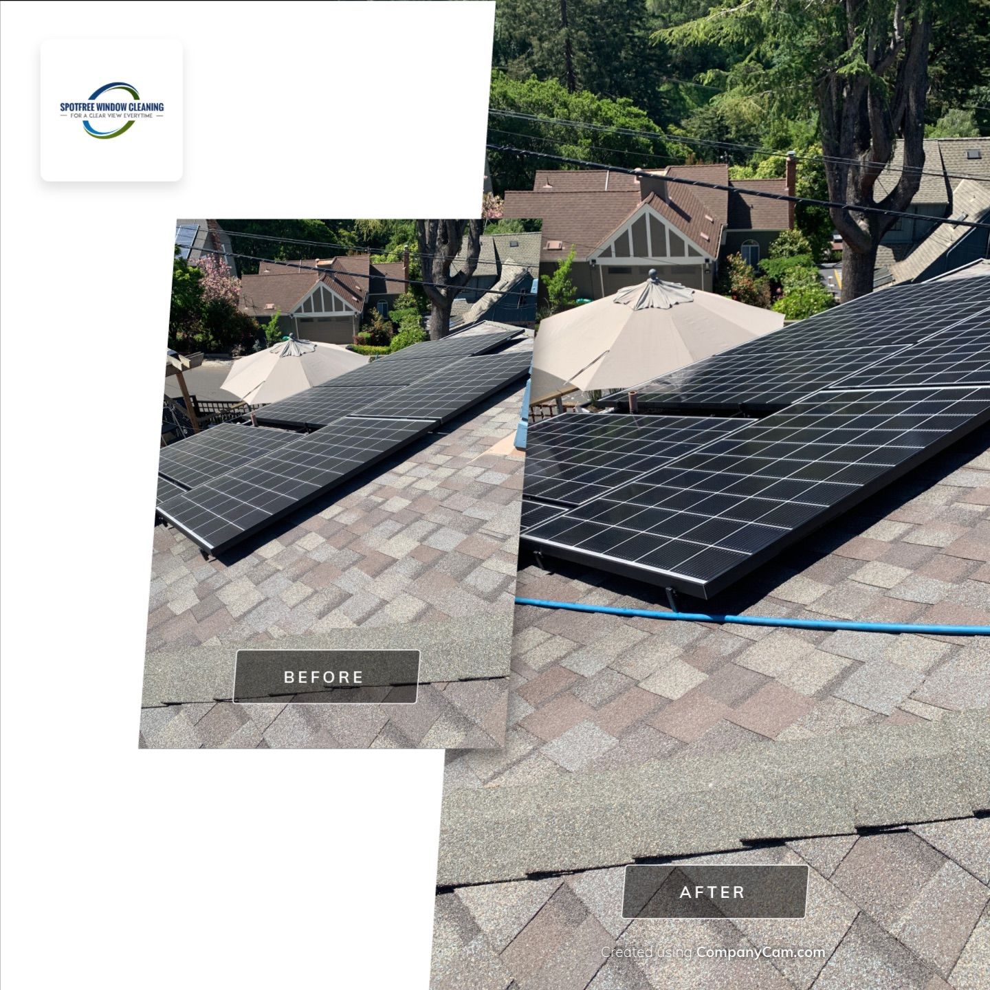 Bernadette Ryan-Leduc by SpotFree Window Cleaning