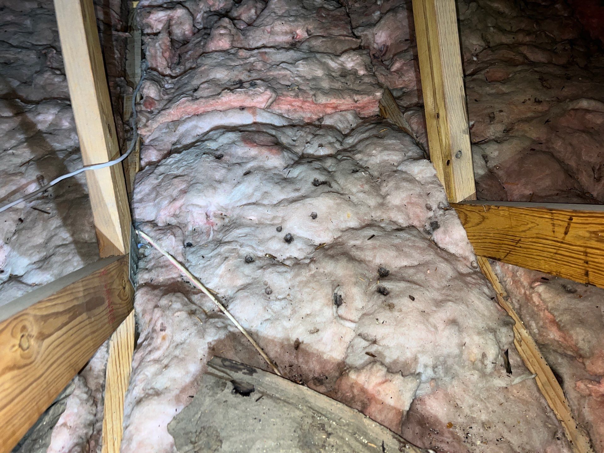 Addressing Attic Mold and Upgrading Insulation in Cranberry Township, PA 16066 by Home Environment Solutions