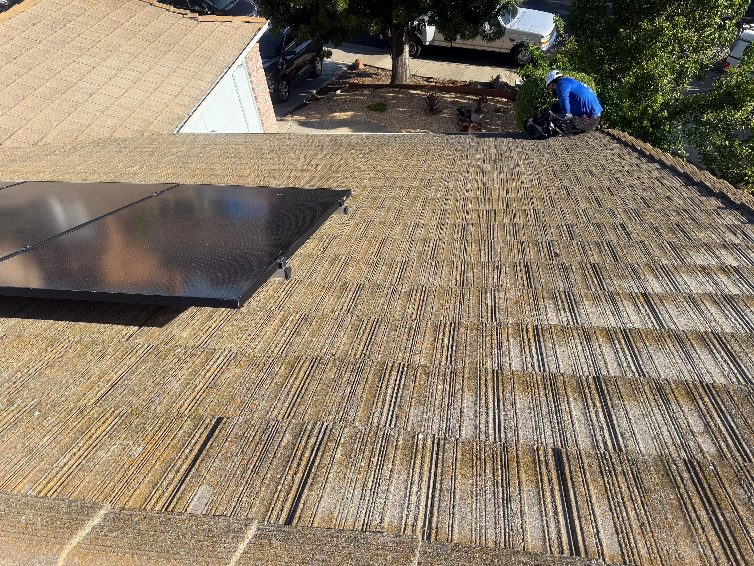 Alpha Eagle Roofing field photo 1