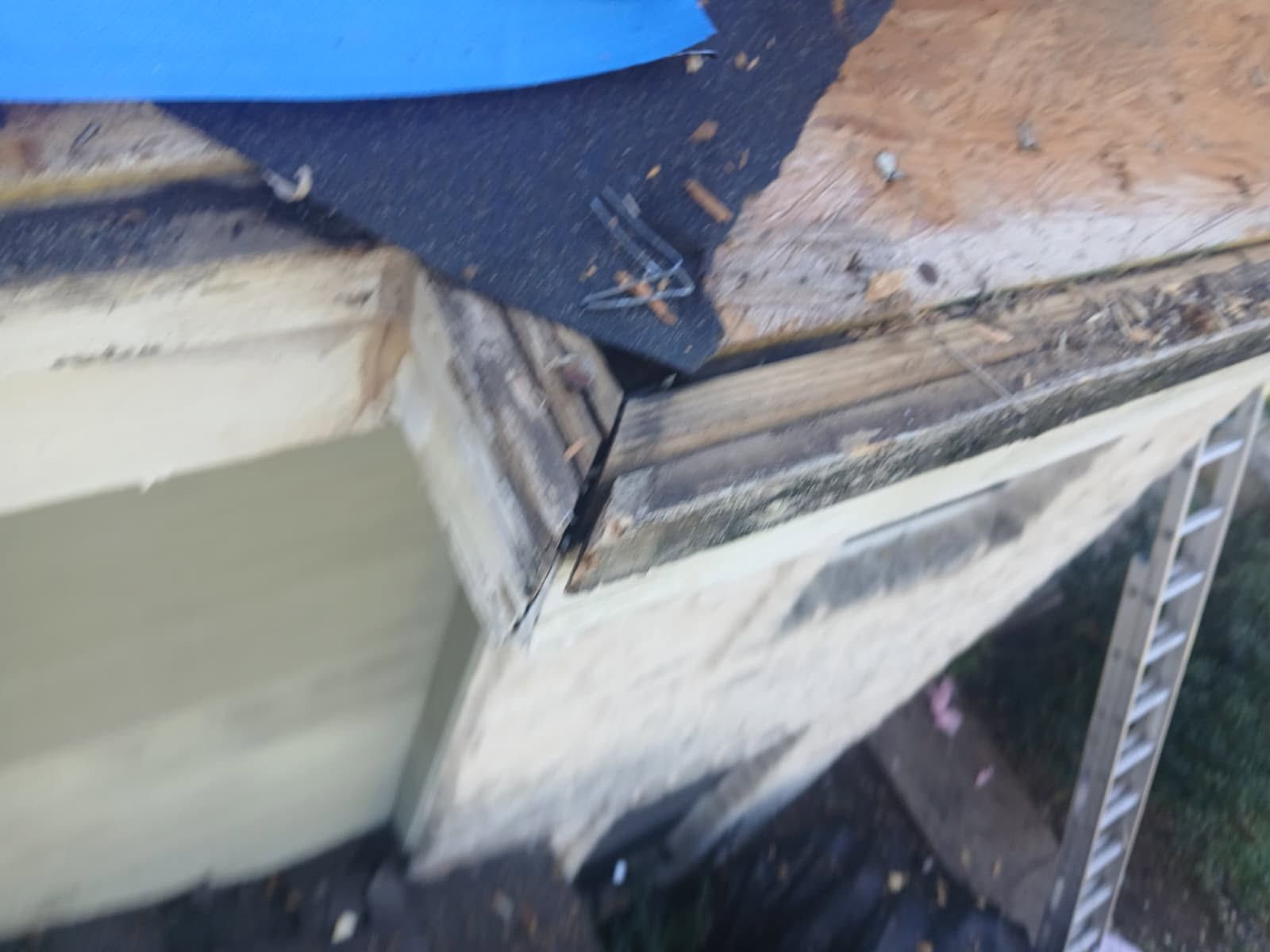 Just another roof ? by REPS OF TEXAS