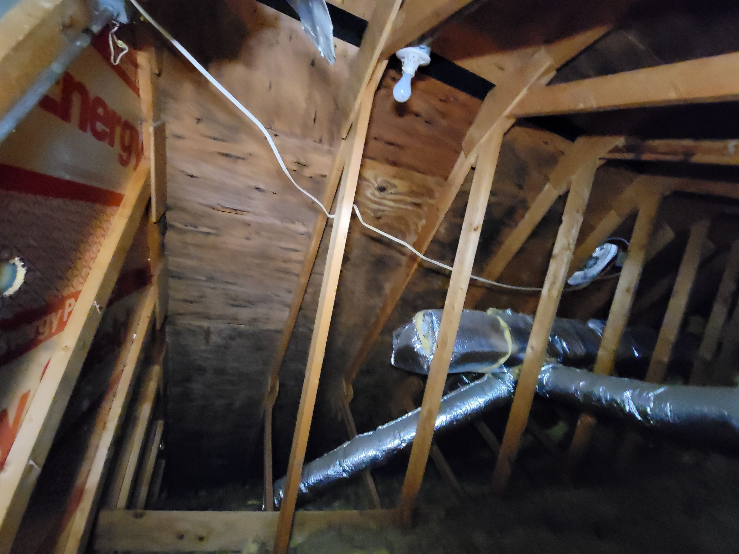 Attic Mold Remediation by Chicagoland Water Medics