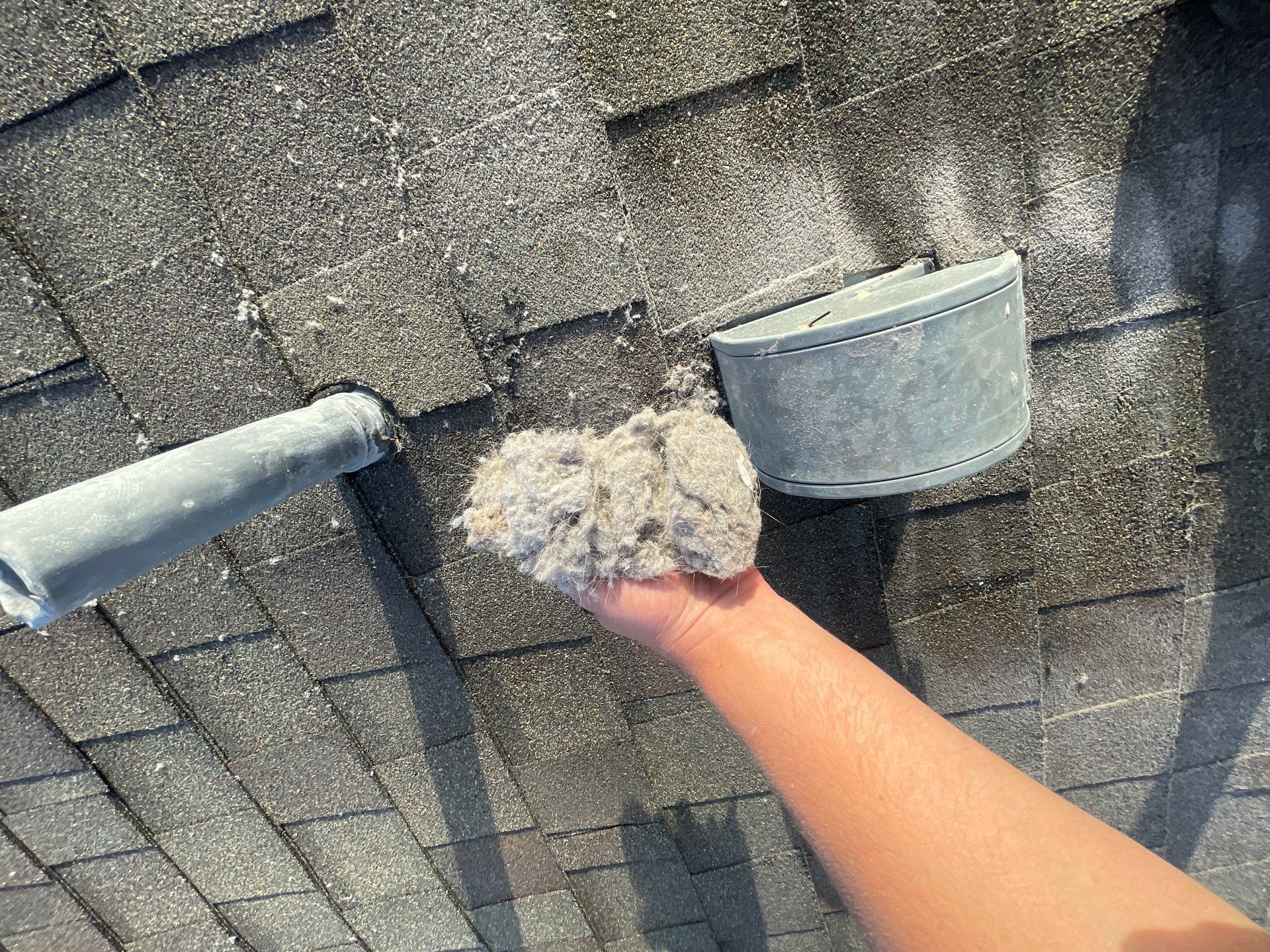 Dryer Vent Cleaning in Clermont by Hygienic Air, Inc