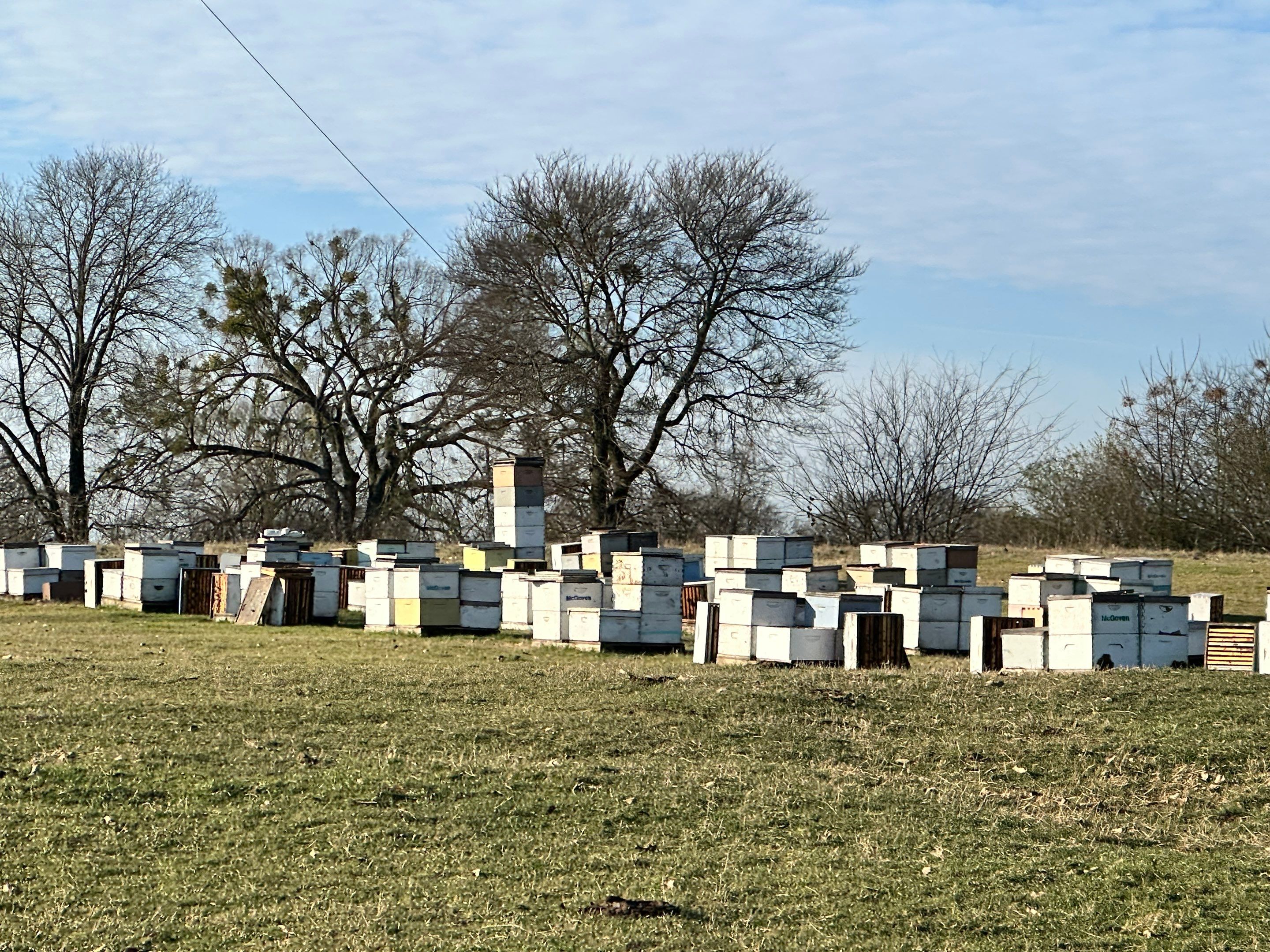 Clubb's Cow Farm Apiary by Rockwall Honey Bee Company