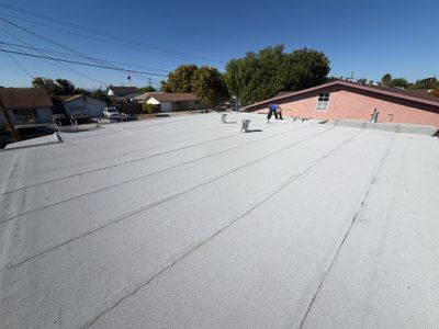 After: finished roof work by Alpha Eagle Roofing in Newark, CA
