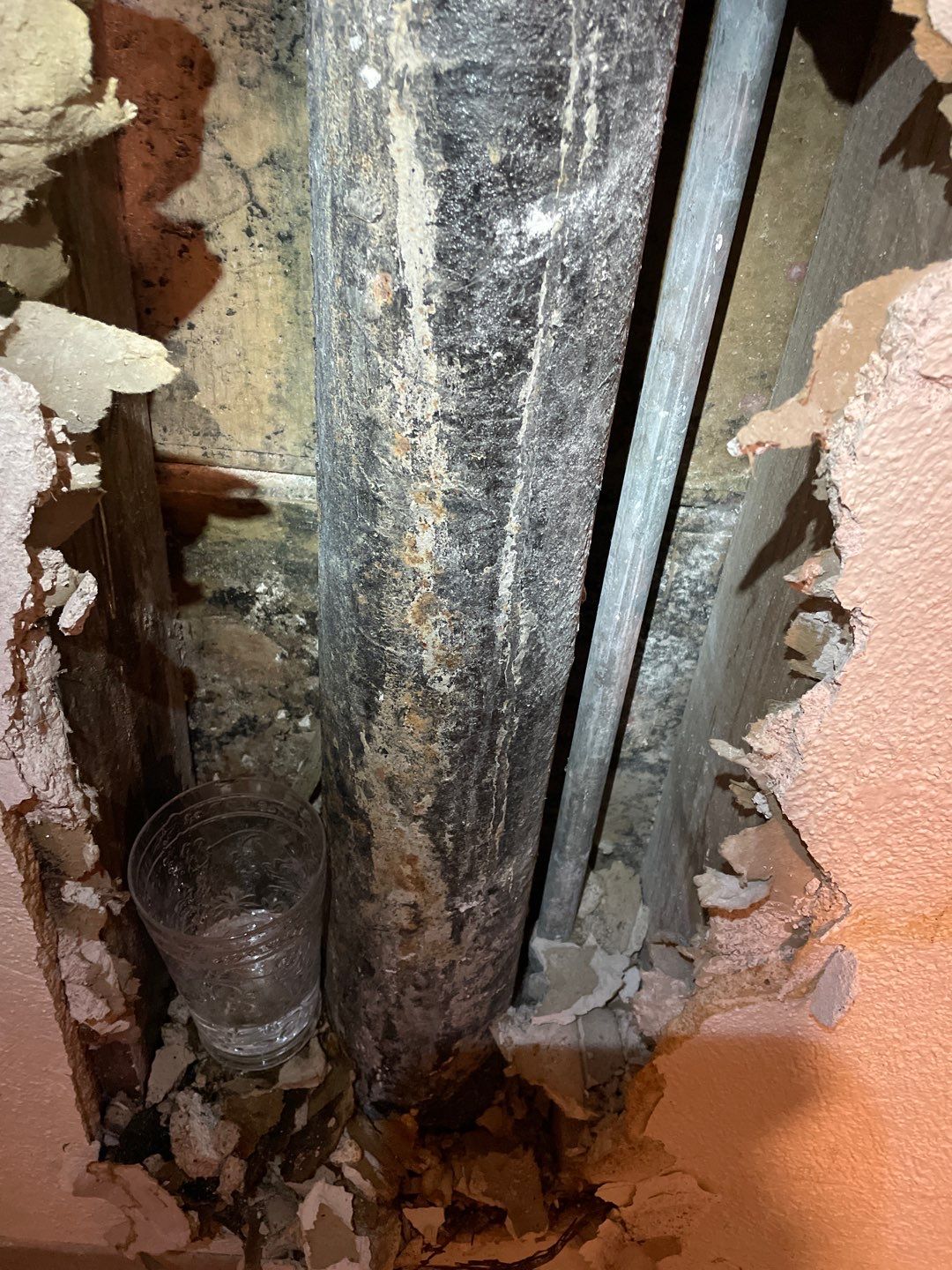 Mold Remediation  by Accountable Home Services