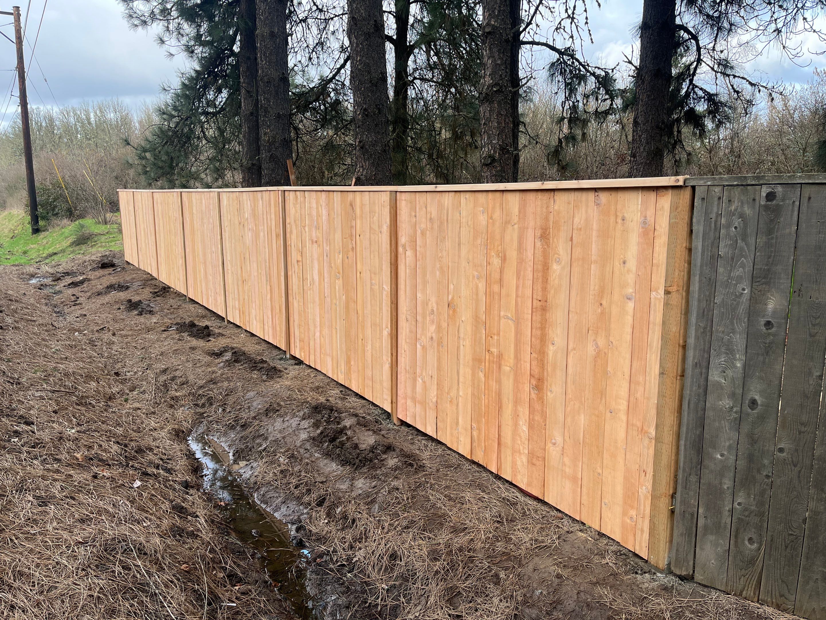 Hillsboro Fence Repair by Paul Schopp