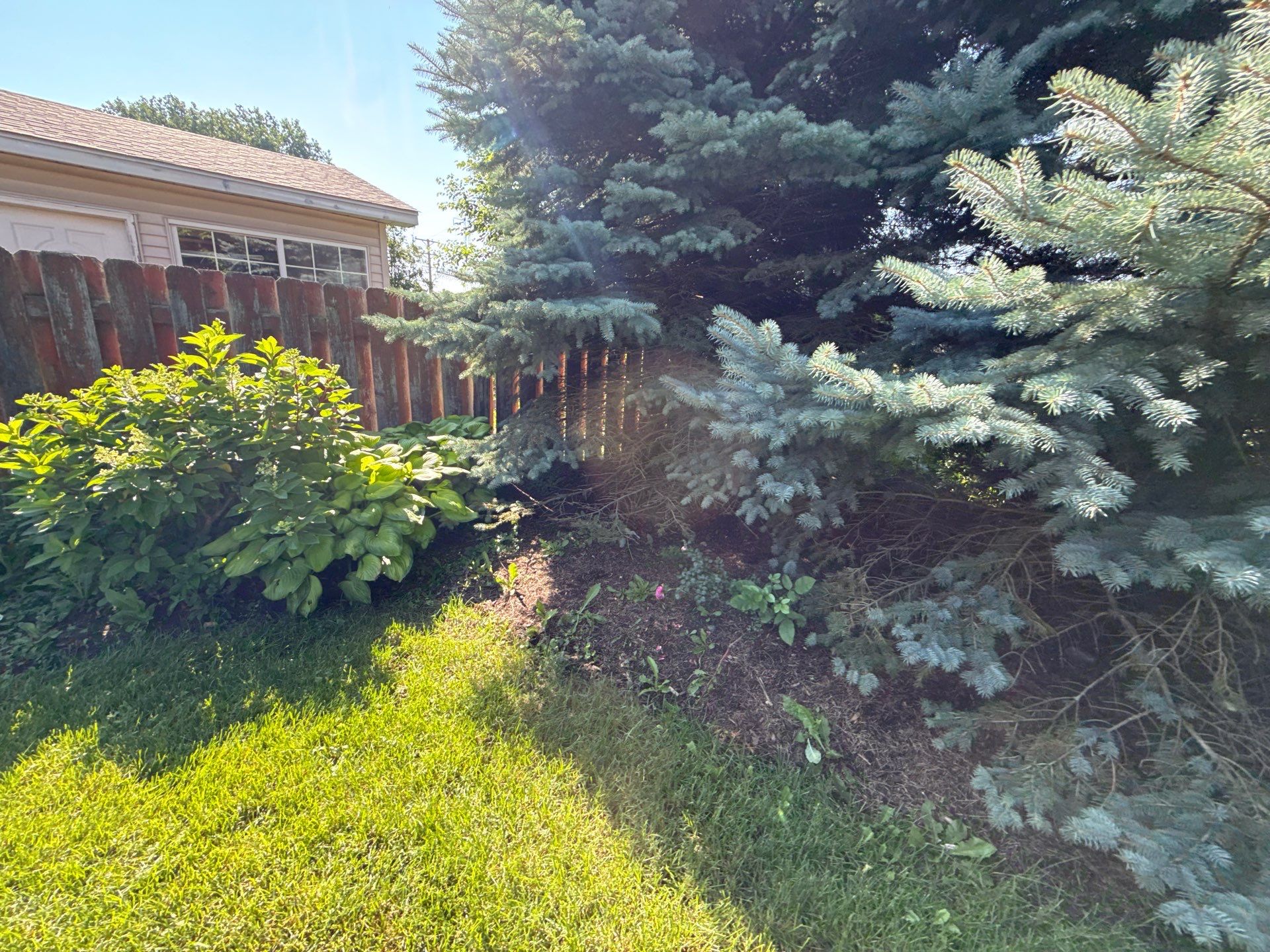 Rob M. - Arlington Heights, IL by A&N 