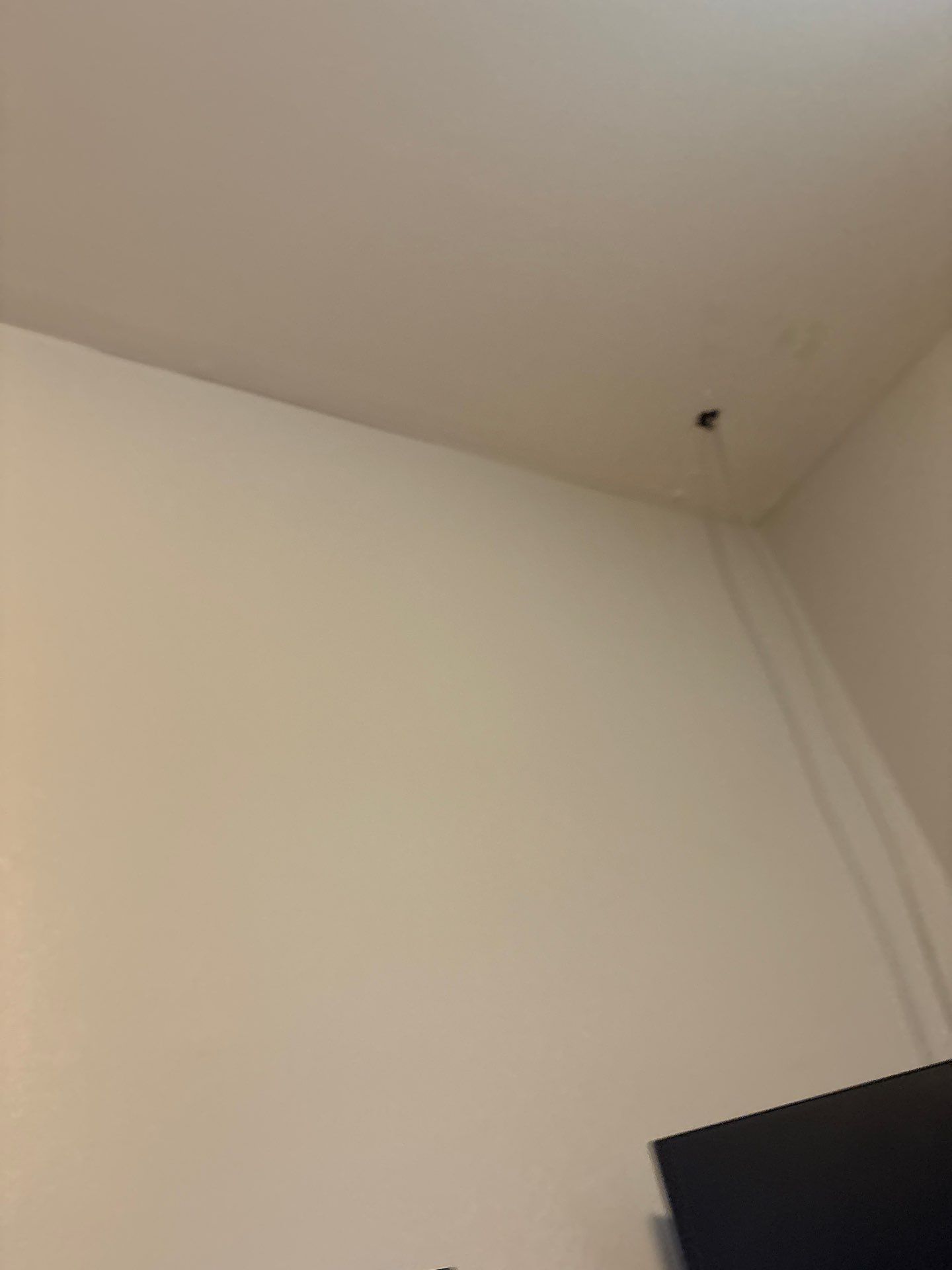 Interior Drywall Repair and Electrical Wiring Prep in Denver by CompanyCam Sales Demo