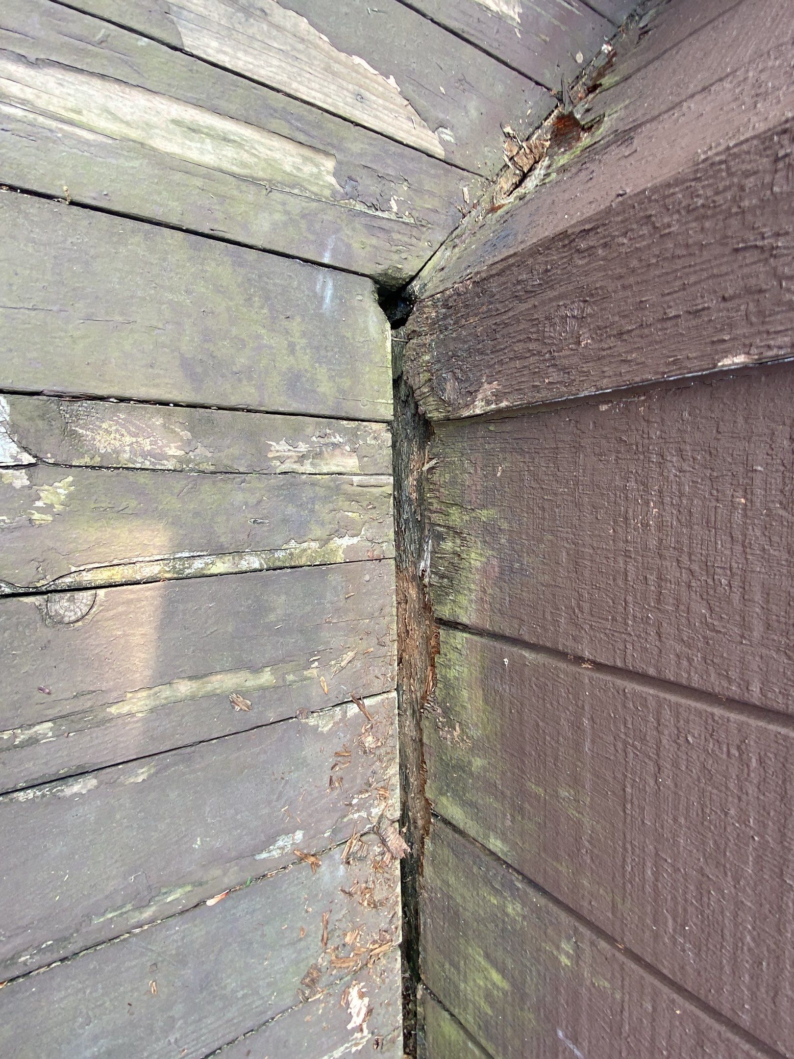 Siding Replacement using CertainTeed Restoration Classis D4 by 180 Contractors