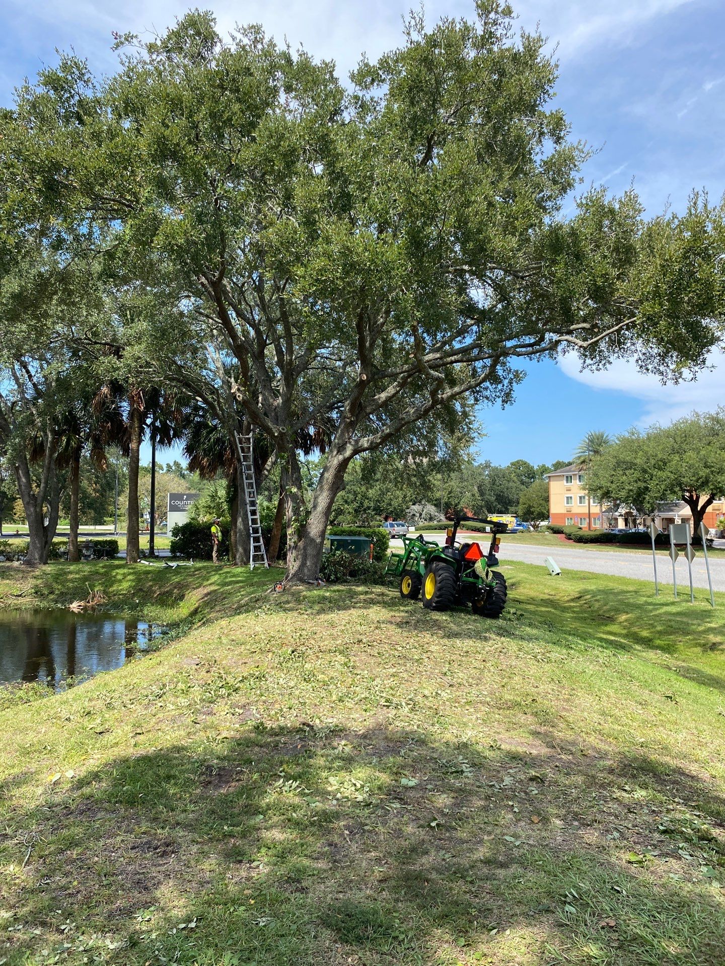 Tree & Shrub Removal | Marriott Hotel by ProGreen Services