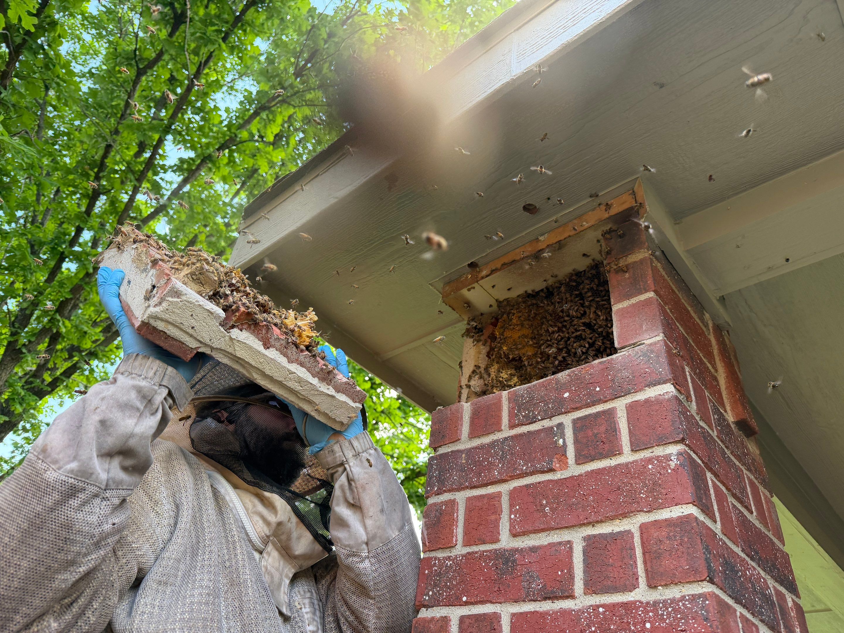 Brick Column by Rockwall Honey Bee Company