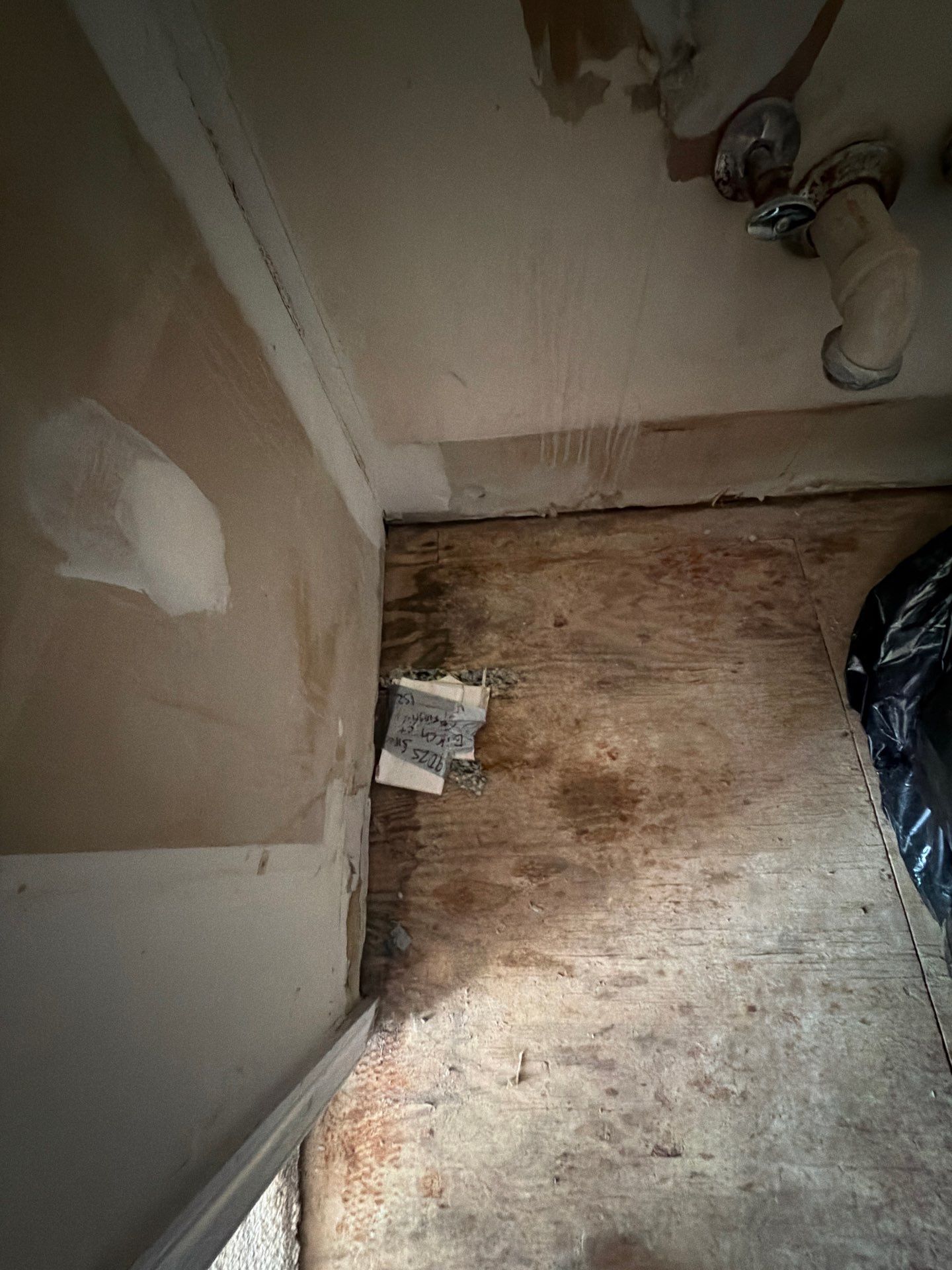 Project in Springfield by Restoration Doctor