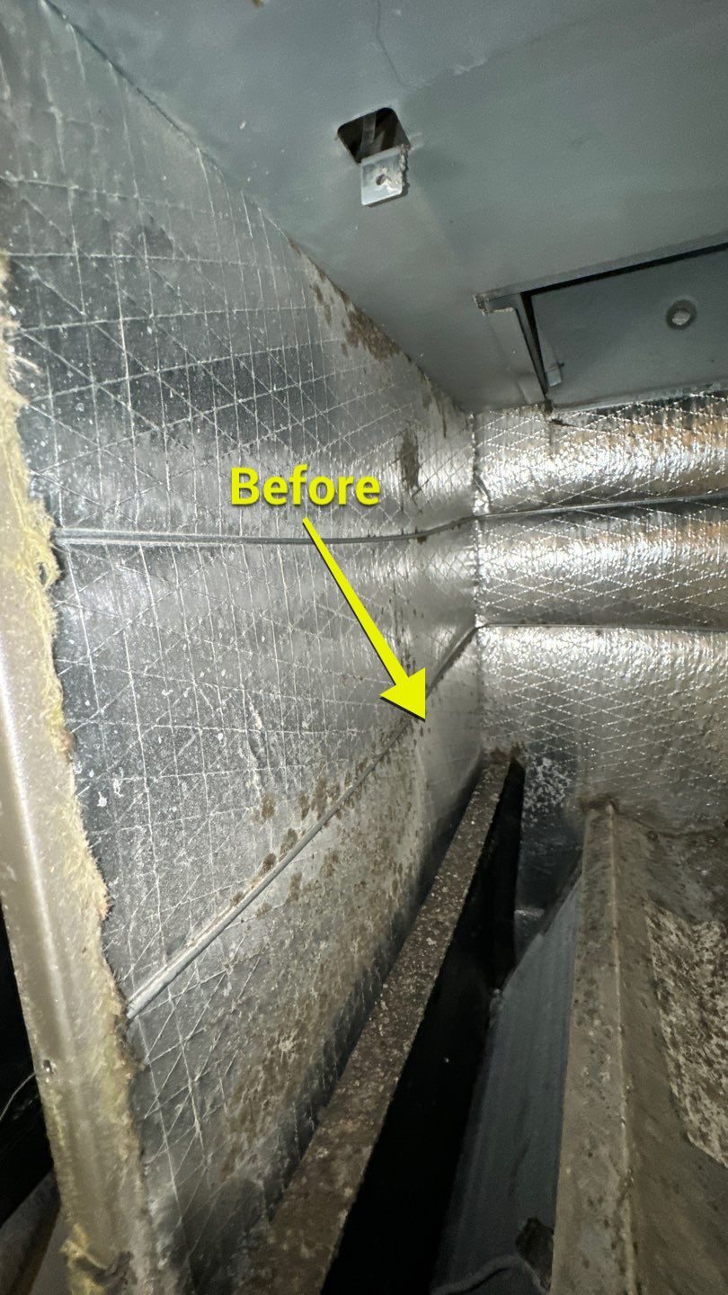 Air Duct Cleaning in Tavares by Hygienic Air, Inc