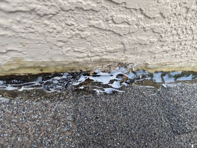 Project in Lone Tree