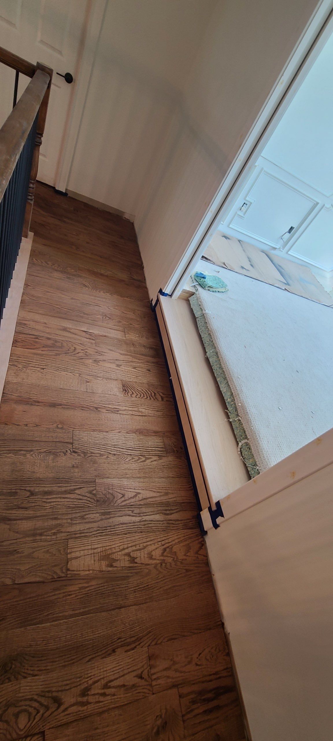 The Napolitano Family by SophAlx LLC