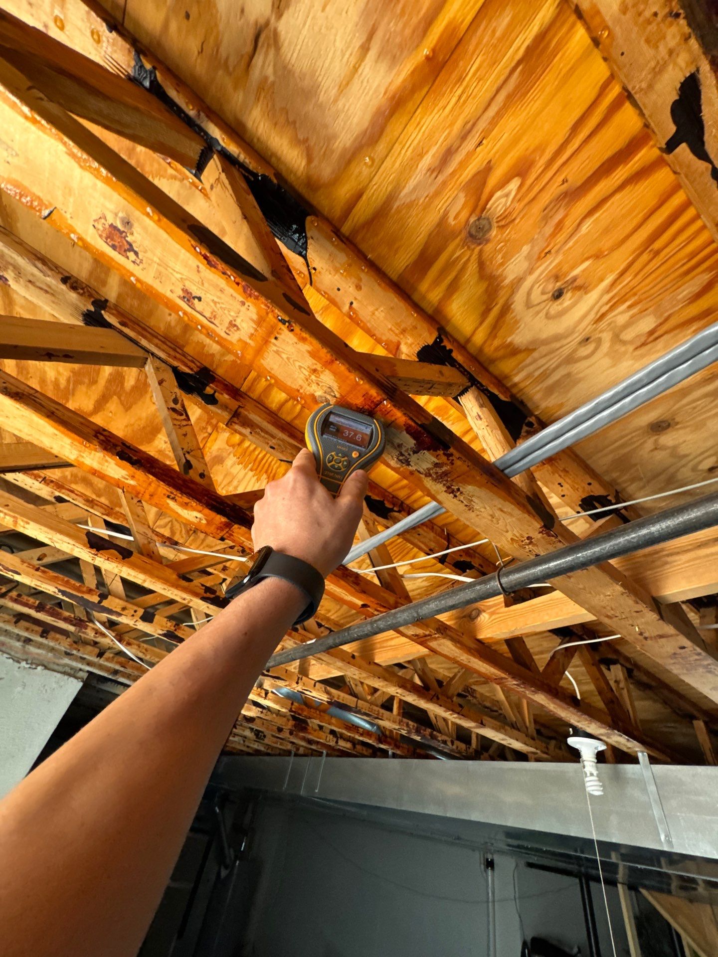 Project in West Bloomfield by EzDry Water Mitigation & Property Restoration