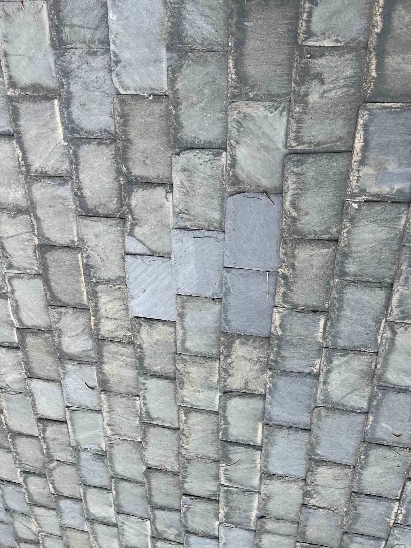 Arlington: Buckingham Slate and Carlisle Syntec TPO Roof by RM Banning, Inc.