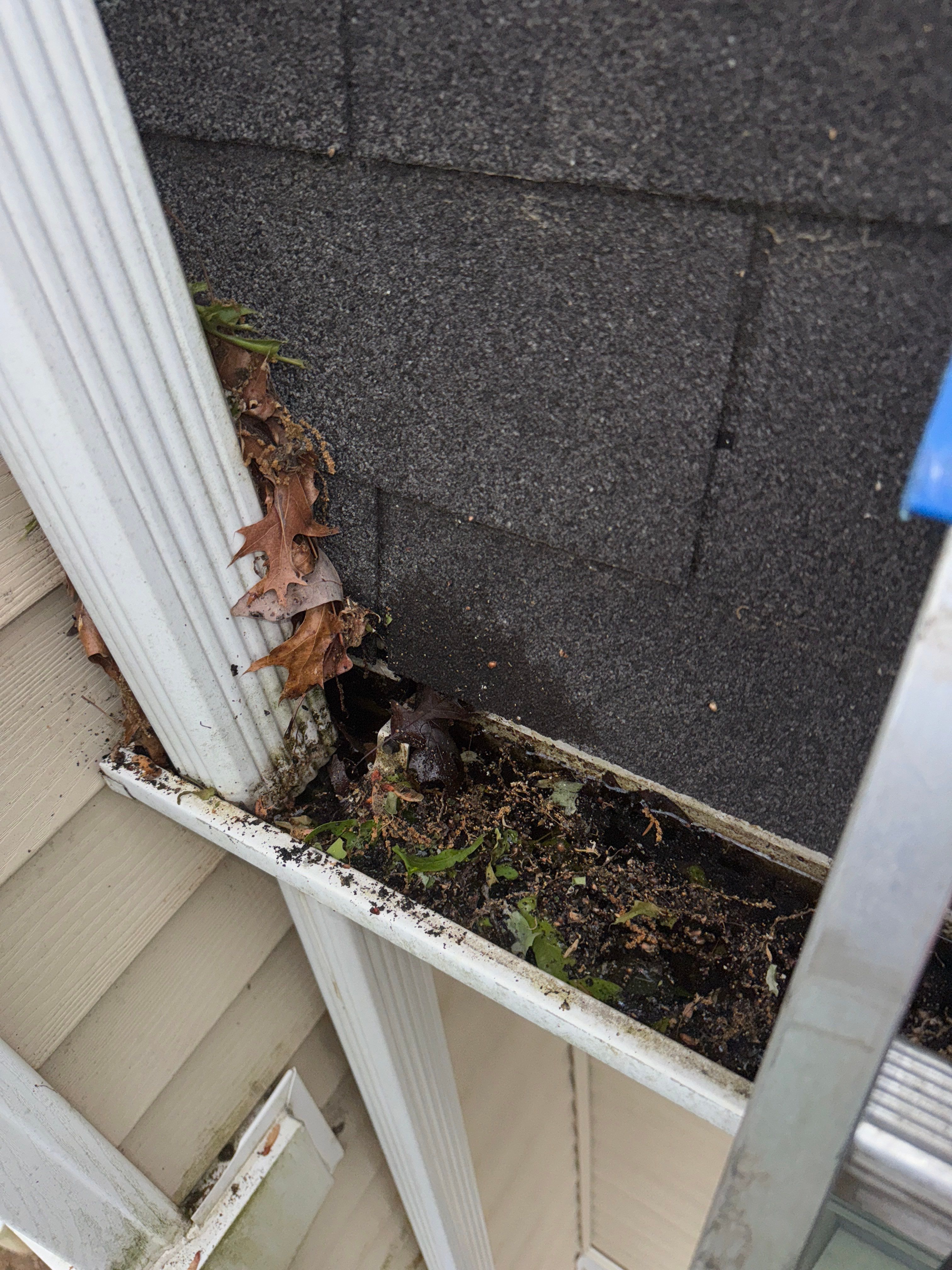 Commercial gutter cleaning Pennsylvania before photo with filled gutters
