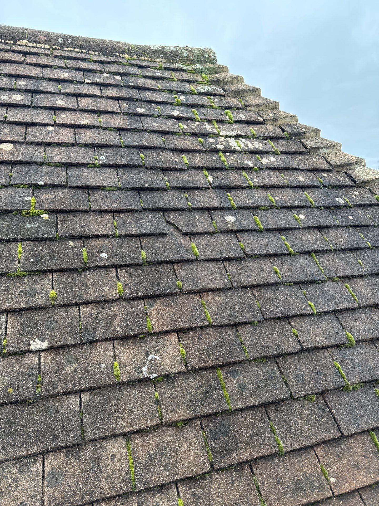 Roof and Patio Cleaning using Honda 15lpm Low Pressure Washing Machine by Ges Exterior Cleaning ltd
