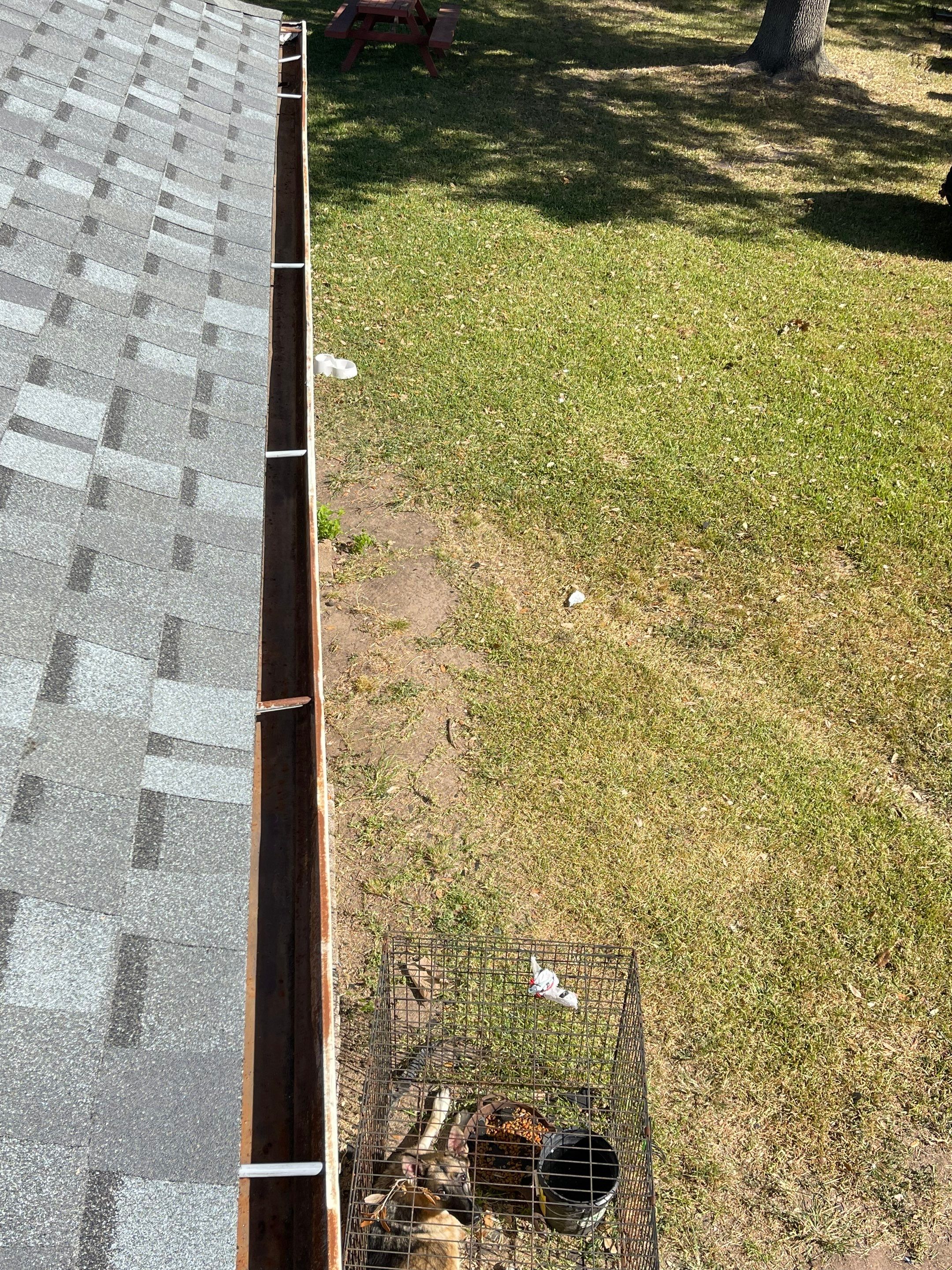 Residential Roofing Installation using Atlas Pinnacle® Pristine Pewter by CAP Roofing and Construction LLC