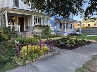 Purple Fence Project