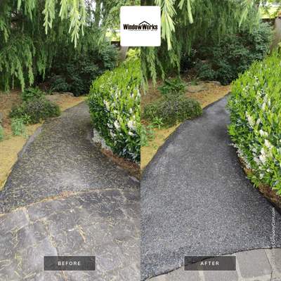 Premium Pressure Washing in Bellevue