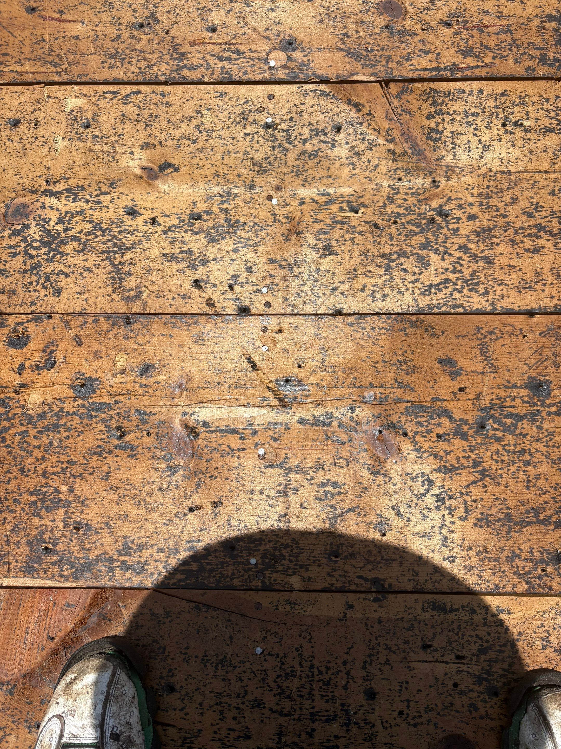 Project in St. Petersburg 33713 by Mitchell Roofing Company LLC 