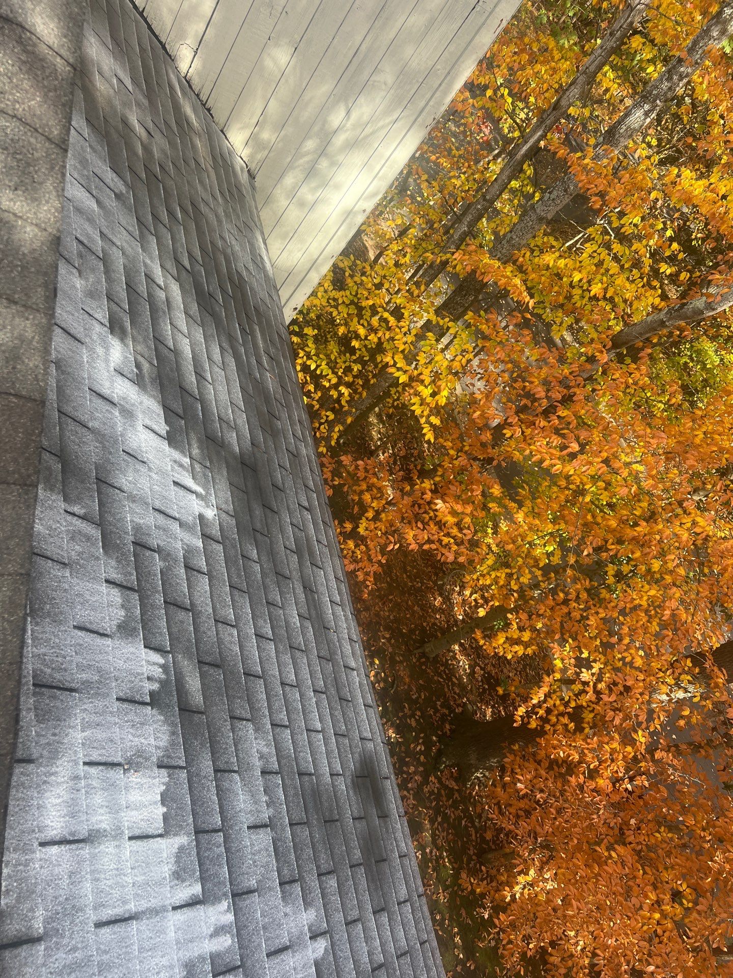 Project in Midlothian by Roof Maxx of Midlothian