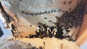 Garage by Rockwall Honey Bee Company