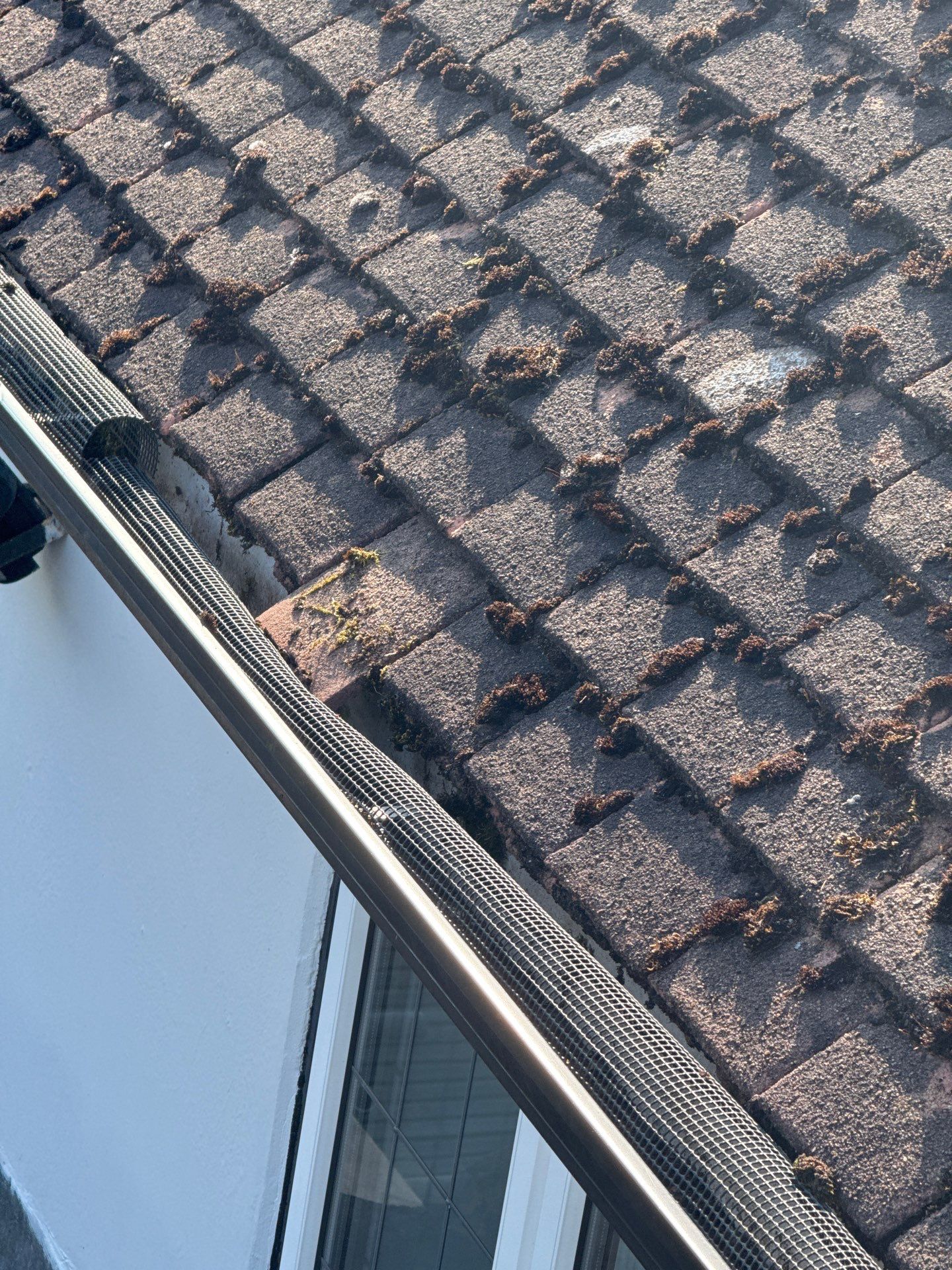Roof Clean - Gutter Clean - Biocide Treatment by Ges Exterior Cleaning ltd