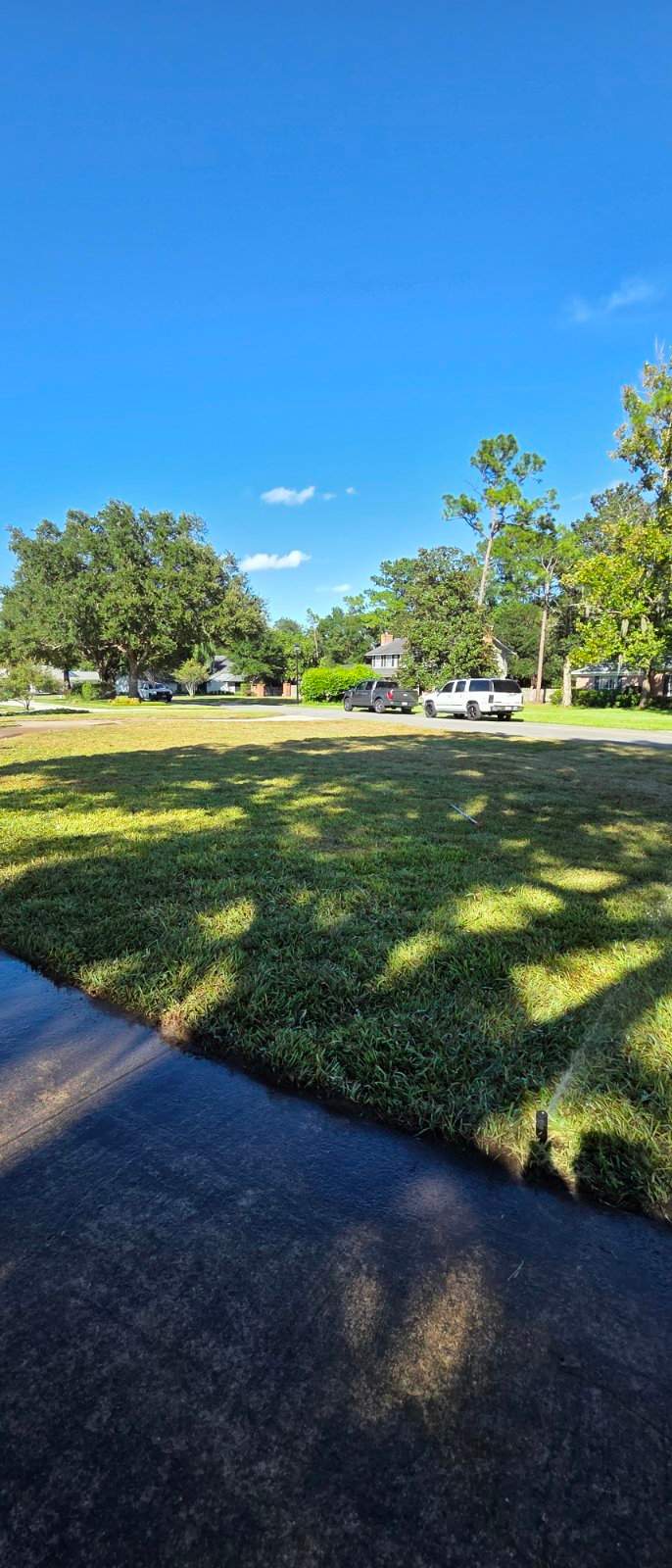 Sod & Landscape Install | Deerwood Community by ProGreen Services