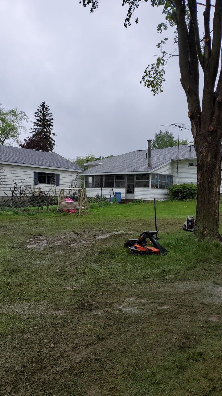 Tree Removal using Tree Removal by Mike Jones & Sons Tree Service LLC 