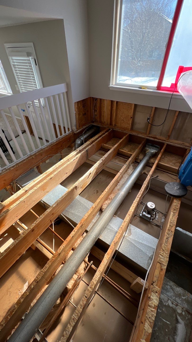 Mold Remediation by Accountable Home Services