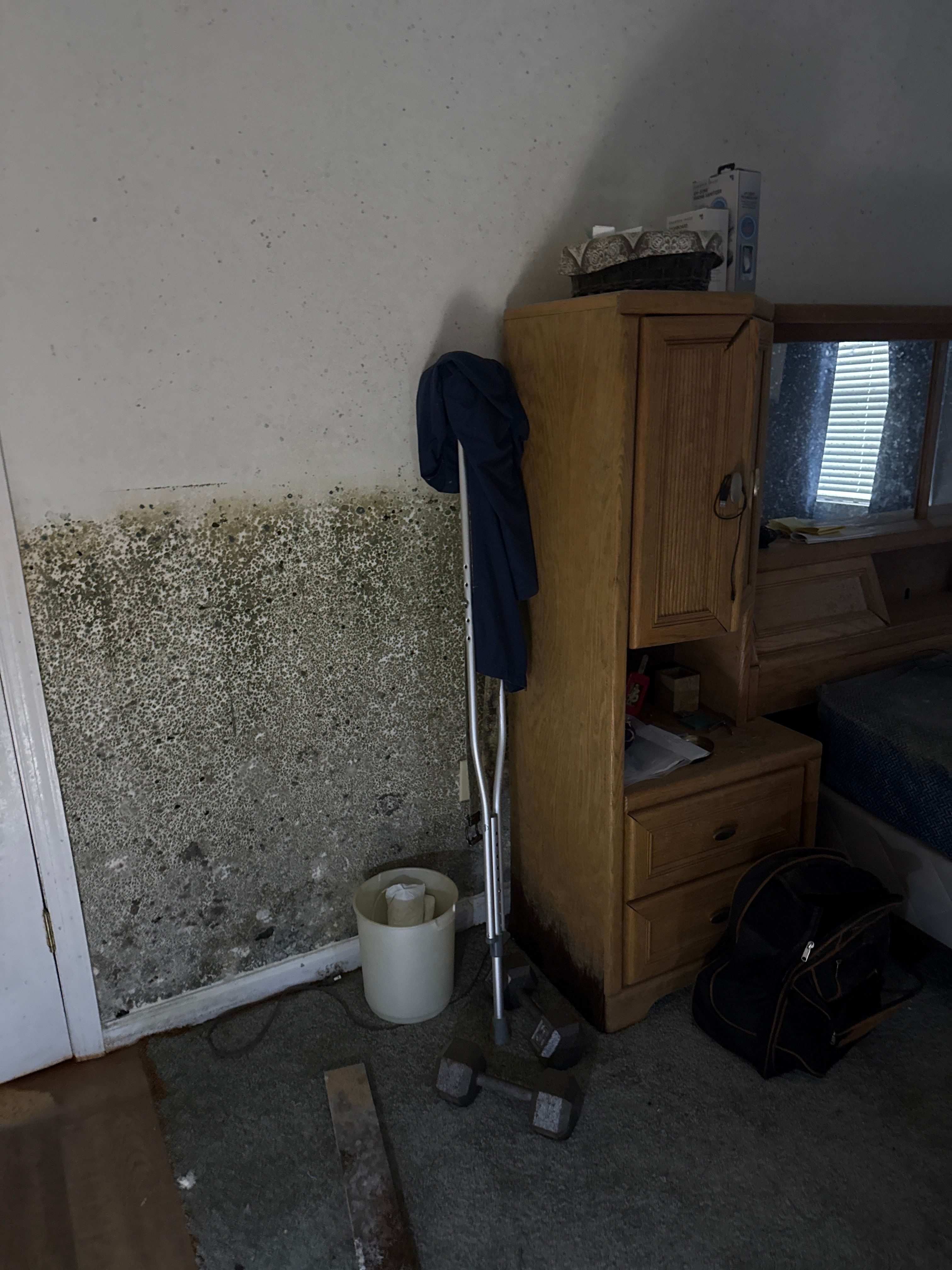Water Damage& Mold Remediation Project-Dover, DE. by Healthy Home Solutions